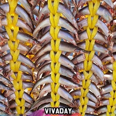 c56ec155c09acf65e7fad7b59f103fdf40e04847a4b4ba6e13286ae767ee.png