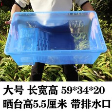 대형거북이어항 수조 수족관 빗물 60x40x30흰색 100x50x30 대형 저장, 라지블루59x34x20배수구포함