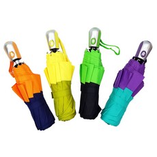 아놀드바시니우산