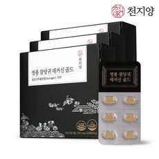 인지기능워크북