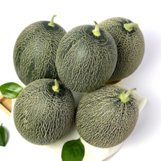 하미과메론-추천-상품