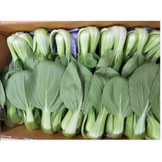 청경채4kg (3.8~4kg) 박스 [원산지:국산(경기도)], 1개, 4kg