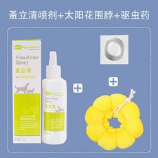 차이나카라만들기