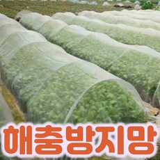미니 비닐하우스 자재 소형 온실 다육이 난초 베란다 논 텃밭 가꾸기 농장 가정용 재배, 소(6x2.5m)