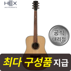 [최다구성품지급] 헥스 스팅 D300/ 드레드넛/ 탑솔리드