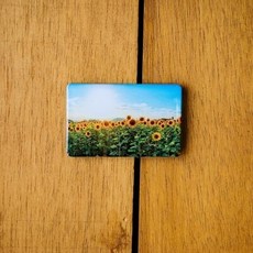 해바라기마그넷