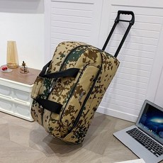 교환학생캐리어