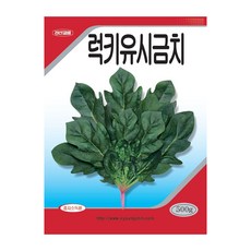 럭키유팔찌