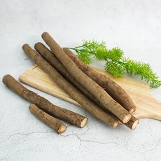 더조은 국내산 생 우엉 알뜰반찬용 가는것 2kg, 1개