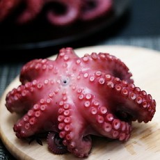 [산지직송]고흥 자연산 돌문어 1kg(2~4미), 1개