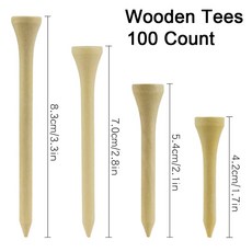 아이나비t100