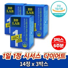 이즈웰튀김기