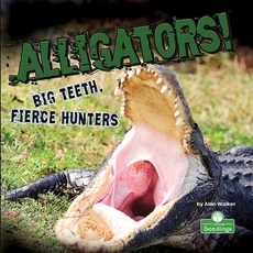 (영문도서) Alligators! Big Teeth Fierce Hunters Paperback, Crabtree Seedlings, English, 9781427161307