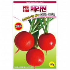 아시아종묘 씨앗 방울무 적환무 20일무 체리원(120g), 1개