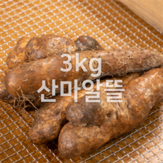 안동 태산농장 산마 산약 참마