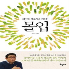 내안의창조성을깨우는몰입