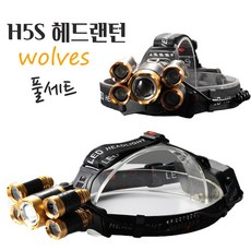 sdm-h8000s