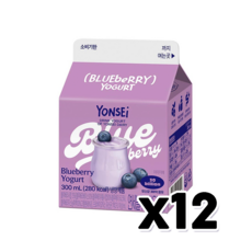 연세 블루베리요거트 팩음료 300ml x 12개