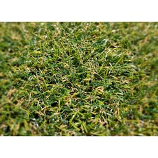 플로어닷컴 인조잔디 보급형 저밀도 CX1600 CX2000 1M x 4M 2M x 4M 봄가을잔디 포톤칼라 자연색 야외용, 2MX4M