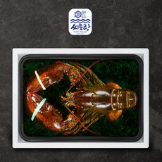 프리미엄 점보 활랍스터 선물세트 1미 2.5kg 특대, 1개