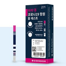 iq검사