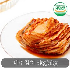 전라도 포기김치 김장 배추 김치 3kg 5kg 추천 파는곳