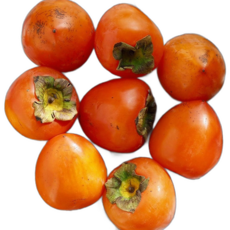 대봉감 홍시 1kg, 1개