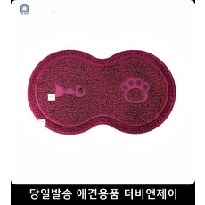 고양이초보집사되기