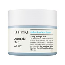 프리메라 워터리 오버나이트 마스크 100ml, 1개
