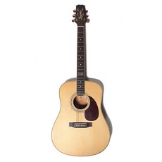 마틴드레드넛주니어