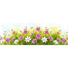 보석십자수코스모스