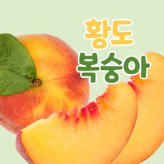 백도 인기 순위