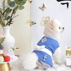패리스독단아한복