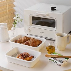 발뮤다전자렌지