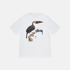 스투시 투칸 티셔츠 반팔 티 로고 화이트 TOUCAN TEE - 레어로우시티보이즈