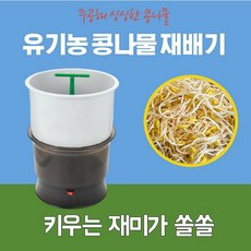 //상품명