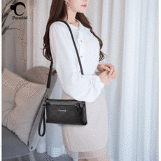 디올미니크로스백