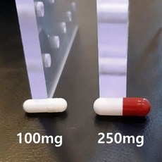 우리동네동물병원 100mg 캡슐고정판(30홀), 1개