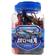 바다의세계