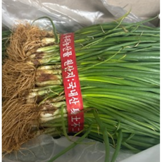 흙쪽파 한단 제주도 전남 보성 국내산, 2개, 1kg