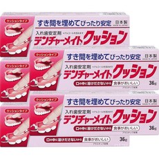 덴쳐메이트 일본 틀니 의치 부착제 쿠션 접착제 36g, 5개