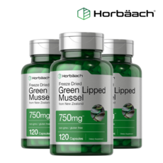 호바흐 초록입홍합 초록홍합 750mg 120캡슐 3개, 120정