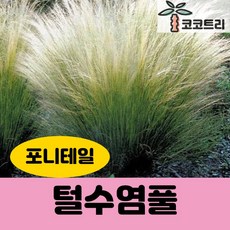 be927539652c92a8a2cad848cb0ba017825948e4a5e8ef7c2c7bd2510f1d.jpg