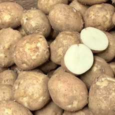 새보마트 강원도 감자 알감자 찜 요리용, 1박스, 5kg, 중<알감자/통구이용>(40~80g)