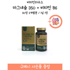 비타민하우스마그네슘350