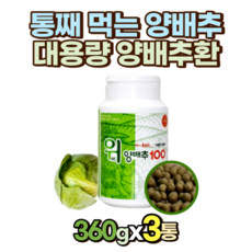 대용량 국내산 통째 먹는 위 양배추 환 360g x 3통 코스트코 홈쇼핑 여자 남자 50대 60대 70대 여성 남성 건양배추 10대 20대 30대 40대 80대 90대