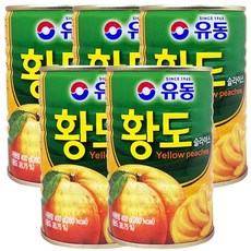 라이크 유동 황도 슬라이스