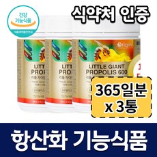 dr.natural프로폴리스500