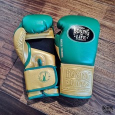 노복싱노라이프