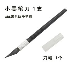 흑새치보호필름
